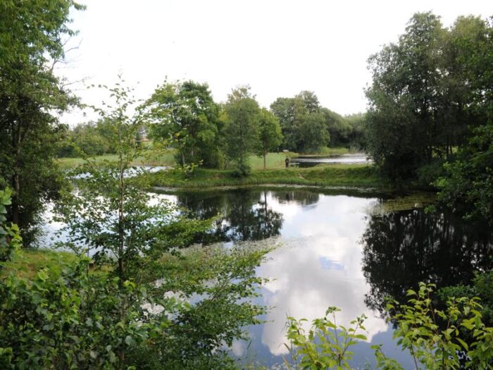 Sinding Lystfiskesø - Billede 13