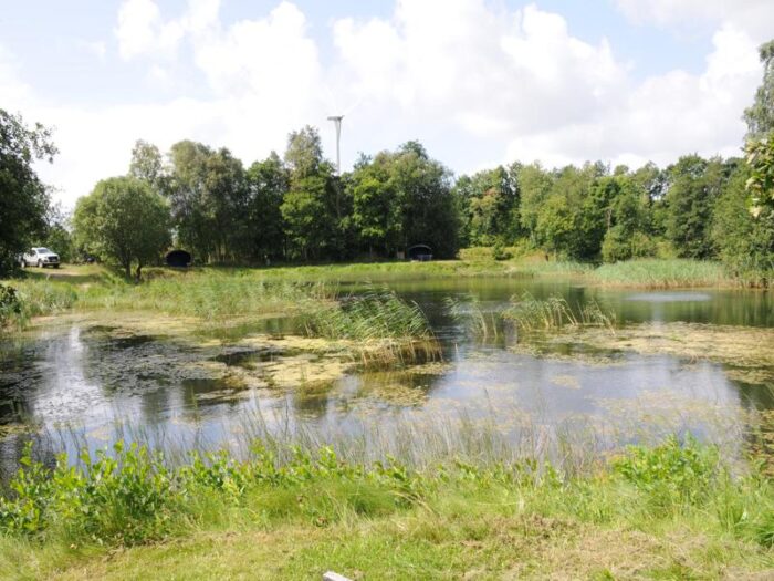 Sinding Lystfiskesø - Billede 5