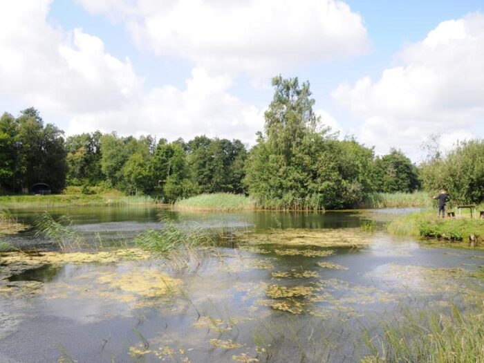 Sinding Lystfiskesø - Billede 6