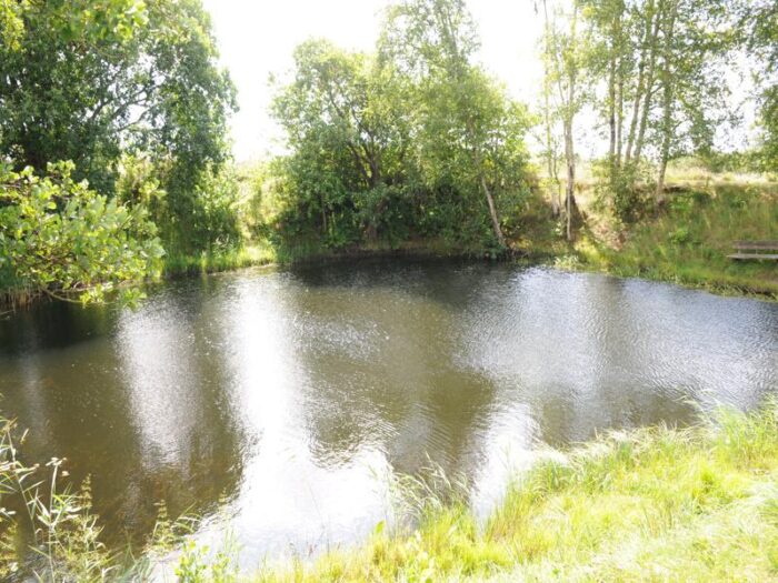 Sinding Lystfiskesø - Billede 7