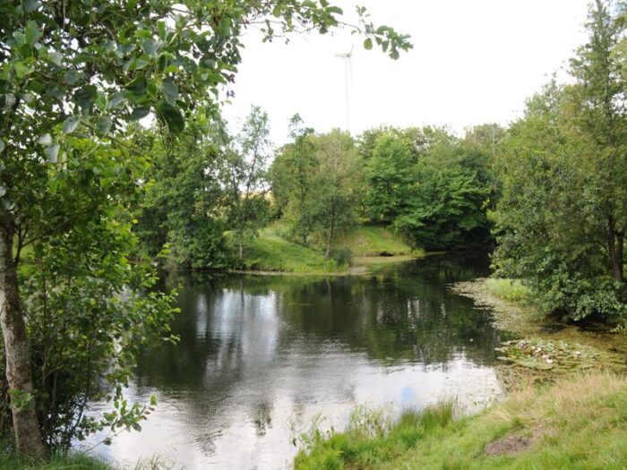 Sinding Lystfiskesø - Billede 9