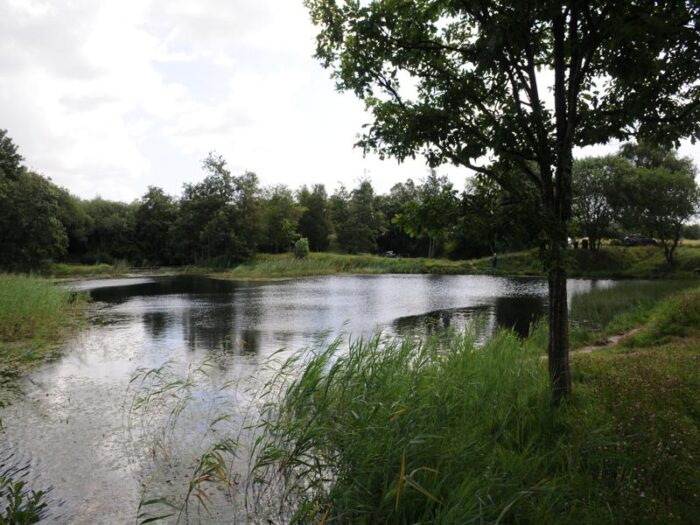 Sinding Lystfiskesø - Billede 10